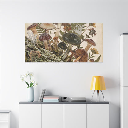 Winter Wild Mushrooms Herbarium Canvas Art | Enchanting Decor
