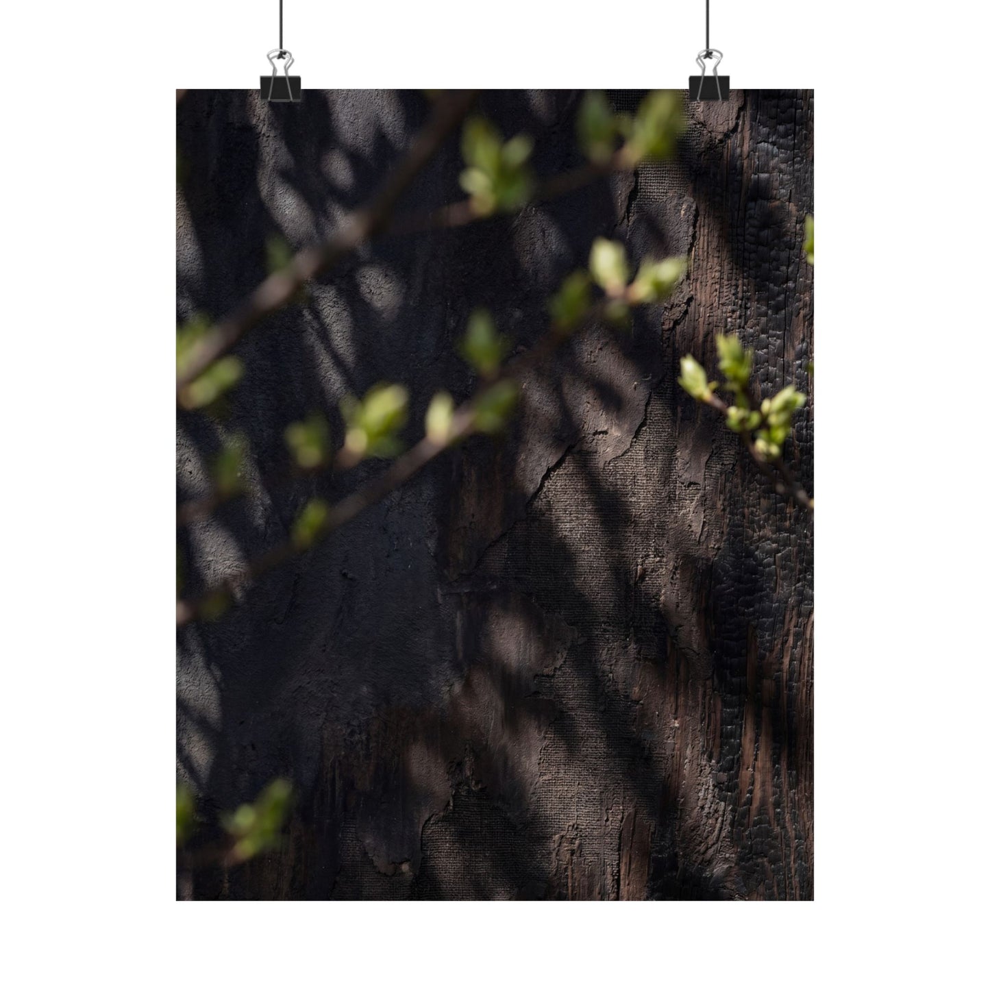 Shadow Play Dark Texture Wall Art Print | Atmospheric Dark Japandi Art
