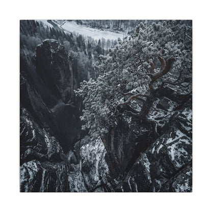 Dark Japandi Pine Tree in Dappled | Dark Texture Canvas Art