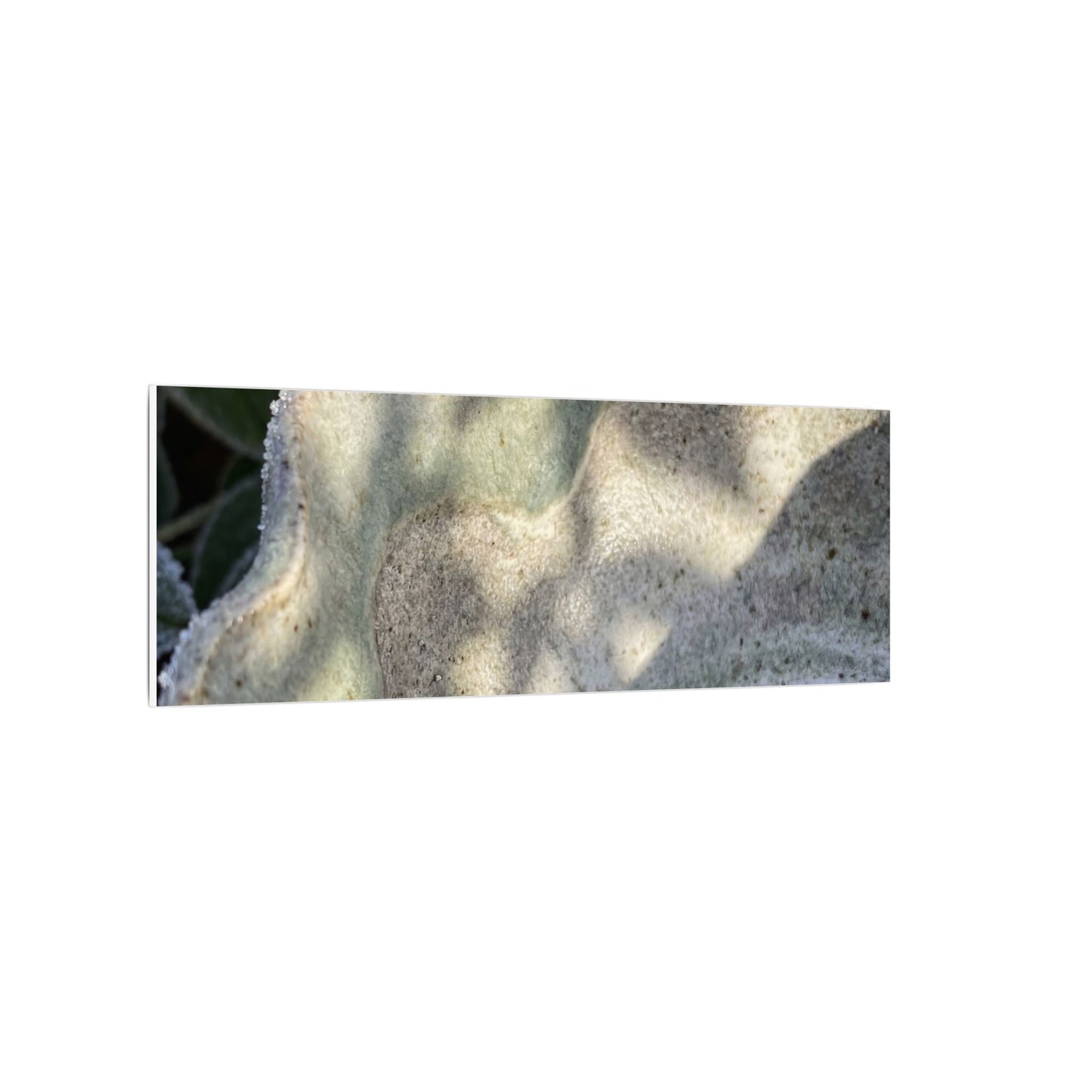 Dappled Ceramic Bowl Canvas Art - Japandi Seijaku