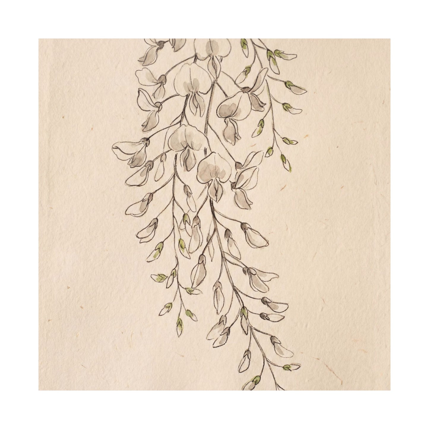 Golden Hour Wisteria Wall Art Print - Japandi Seijaku