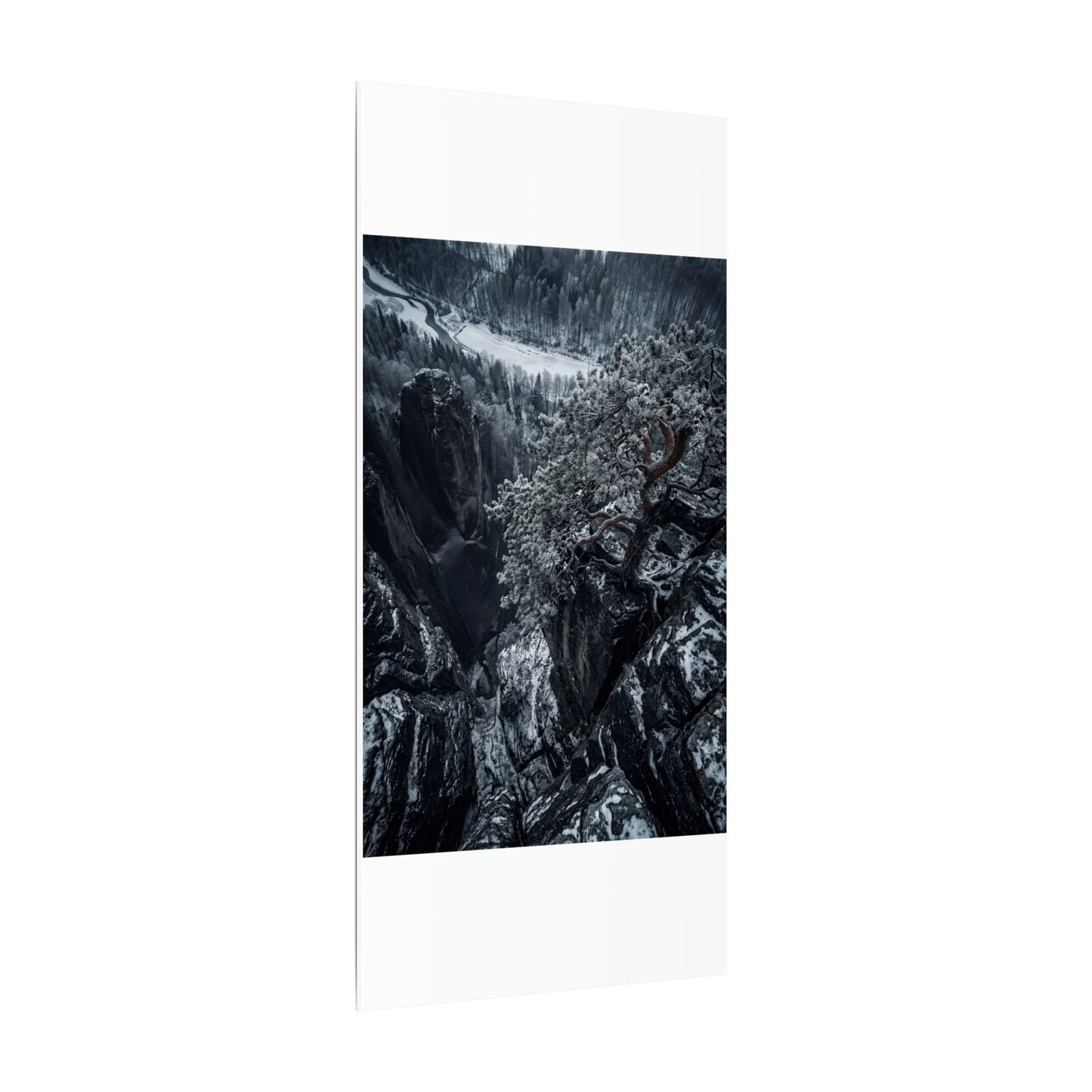 Dark Japandi Pine Tree in Dappled | Dark Texture Canvas Art