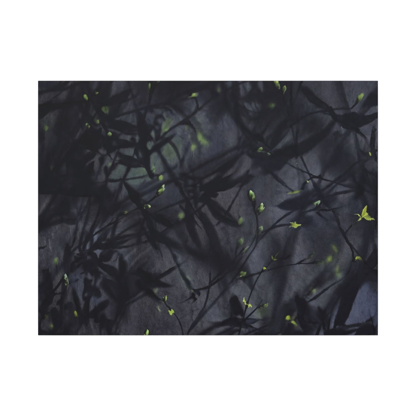 Shadow Play Spring Canvas Art | Dark Japandi Atmospheric Design