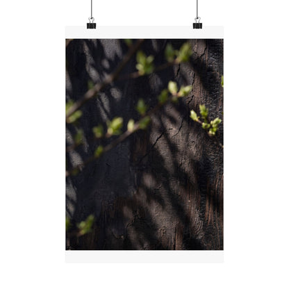 Shadow Play Dark Texture Wall Art Print | Atmospheric Dark Japandi Art