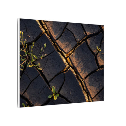 Kintsugi Cracked Earth in Golden Hour | Gold Vein Canvas Art