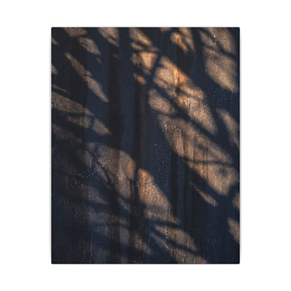 Dark Japandi Shadow Play in Golden Hour | Shadow Zen Canvas Art