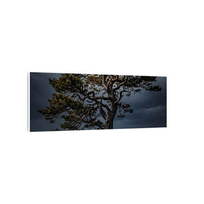 Dappled Pine Tree Canvas Art - Dark Japandi Fukinsei