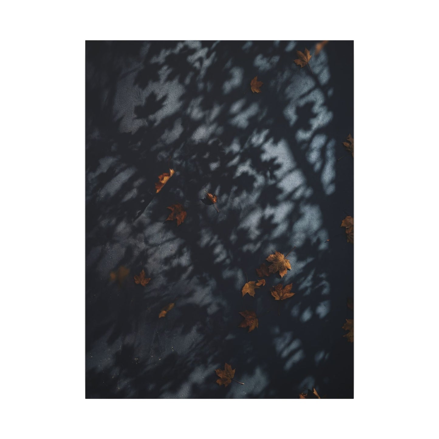 Autumn Shadow Play Shadow Zen Canvas Art | Atmospheric Decor