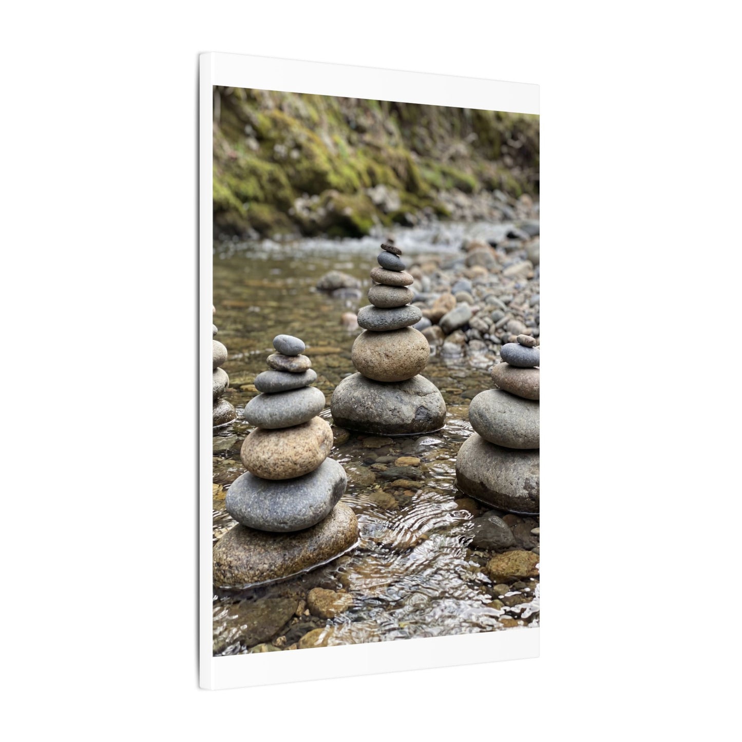 Bamboo Grove Winter Canvas Art | Zen Serene Design