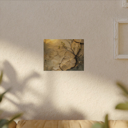 Cracked Earth Spring Canvas Art | Japandi Warm Design
