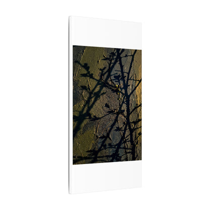 Kanso Shadow Play Canvas Art - Dark Japandi Dark Texture