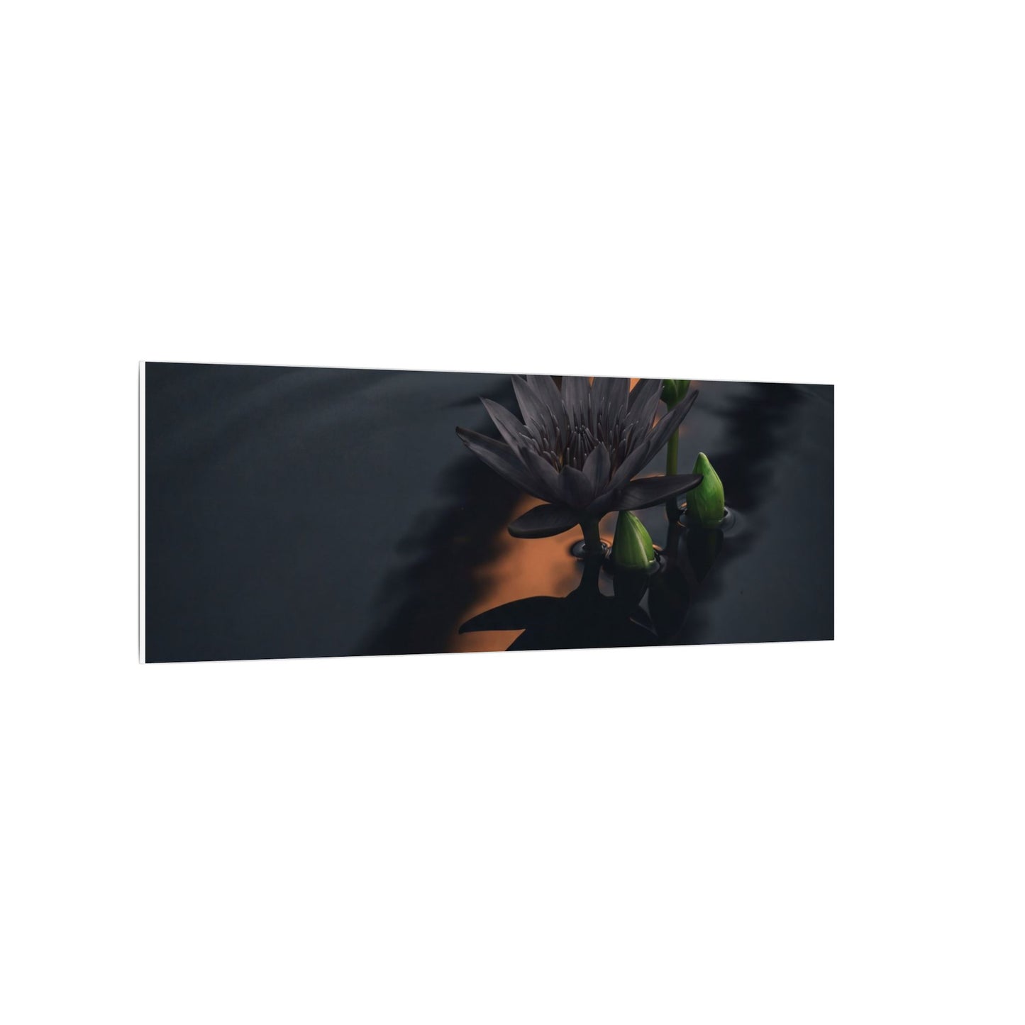 Seijaku Lotus Flower Canvas Art - Dark Japandi Shadow Zen