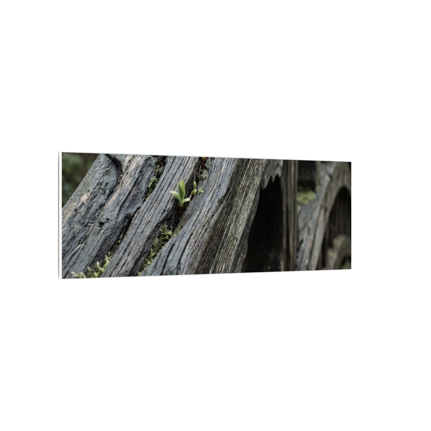 Overcast Wooden Bridge Canvas Art - Japandi Kanso
