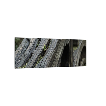 Overcast Wooden Bridge Canvas Art - Japandi Kanso