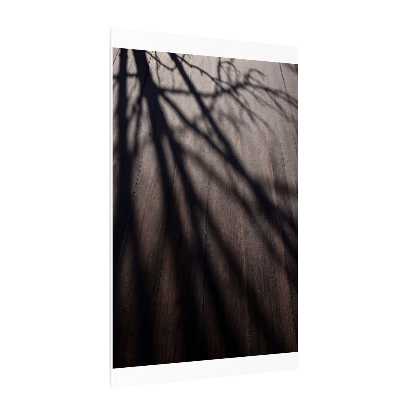 Dark Japandi Shadow Play in Dawn | Moody Minimal Canvas Art