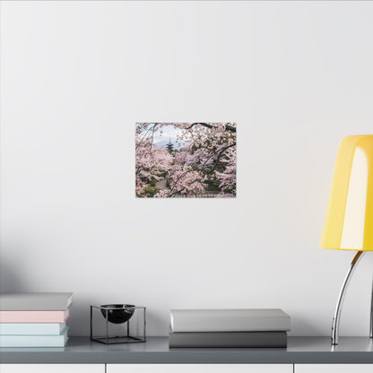 Shibui Ceramic Bowl Canvas Art - Japandi Watercolor