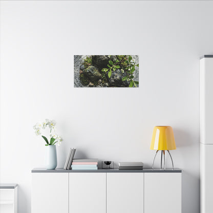 Zen Ceramic Bowl in Dappled | Karesansui Canvas Art