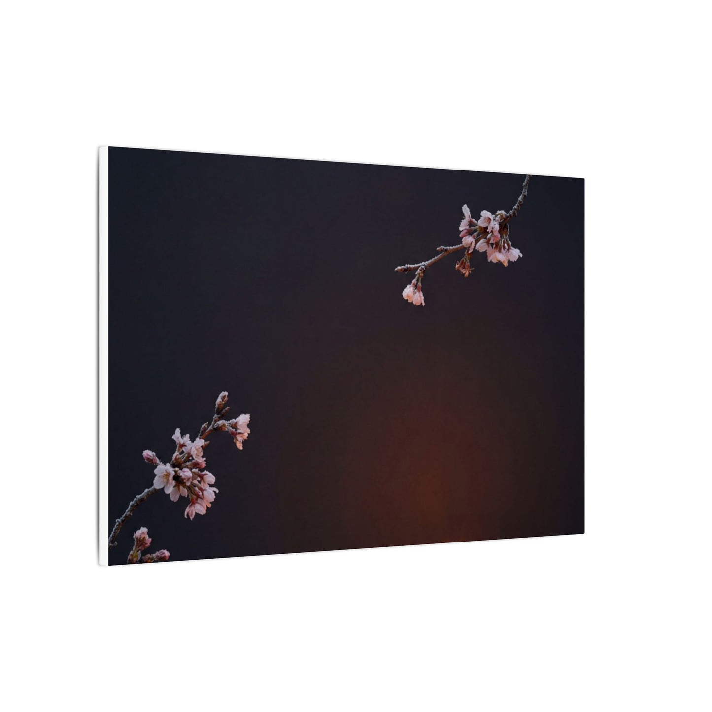 Dark Japandi Cherry Blossom in Candlelight | Moody Minimal Canvas Art