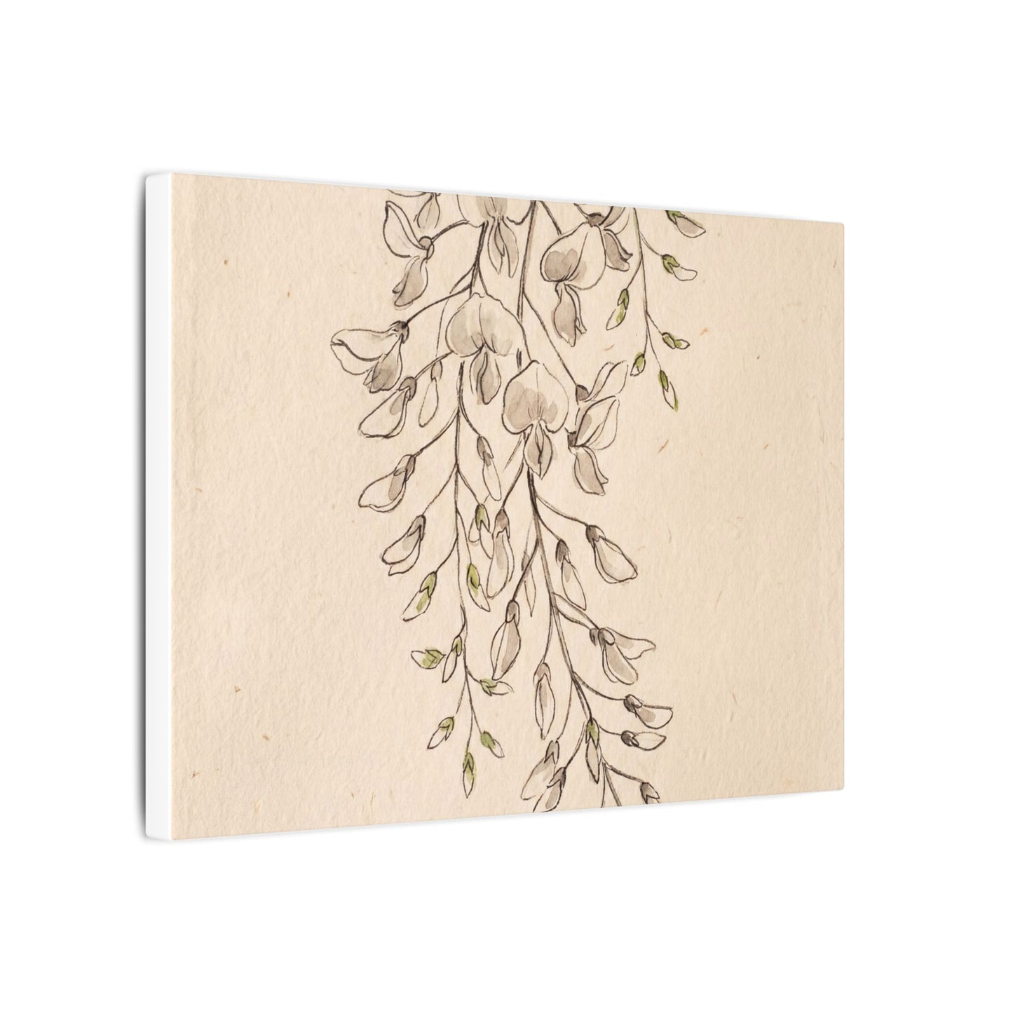 Japandi Wisteria in Golden Hour | Minimal Line Canvas Art