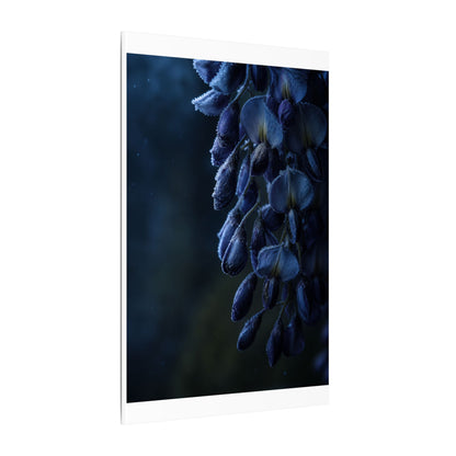 Winter Wisteria Shadow Zen Canvas Art | Atmospheric Decor