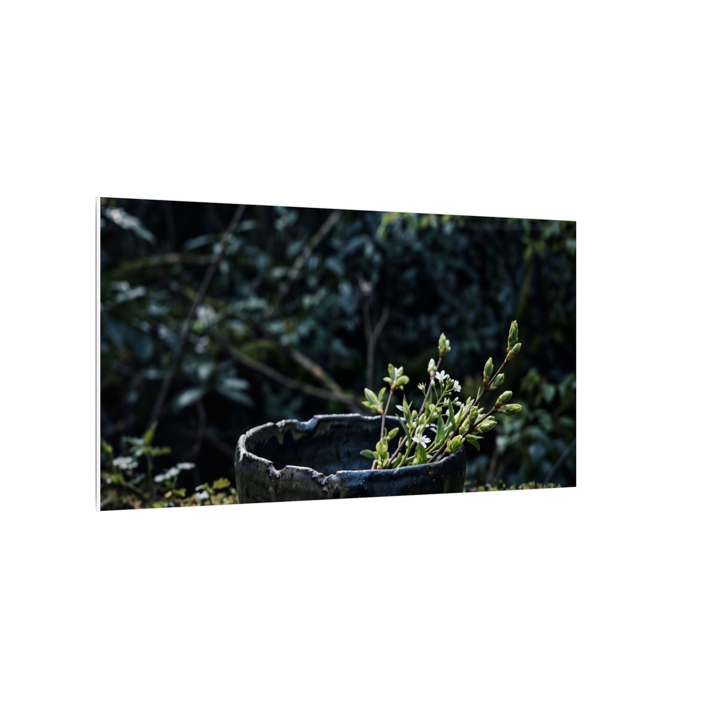 Dappled Ceramic Bowl Canvas Art - Dark Japandi Datsuzoku