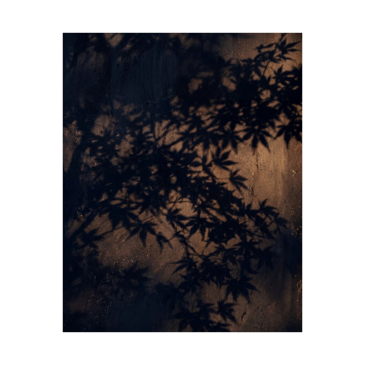 Shadow Play Shadow Zen Wall Art Print | Atmospheric Dark Japandi Art