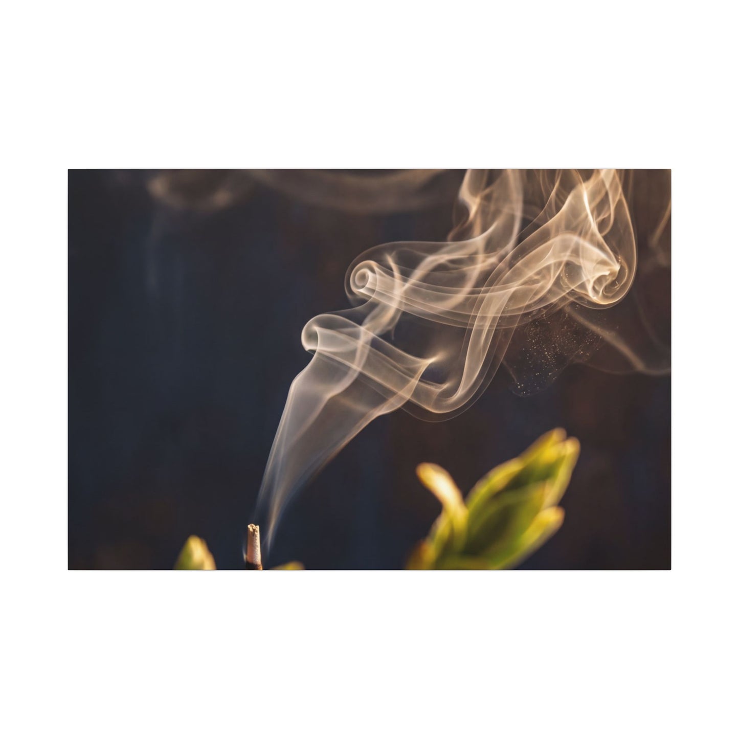 Incense Smoke Spring Canvas Art | Dark Japandi Atmospheric Design Art Print