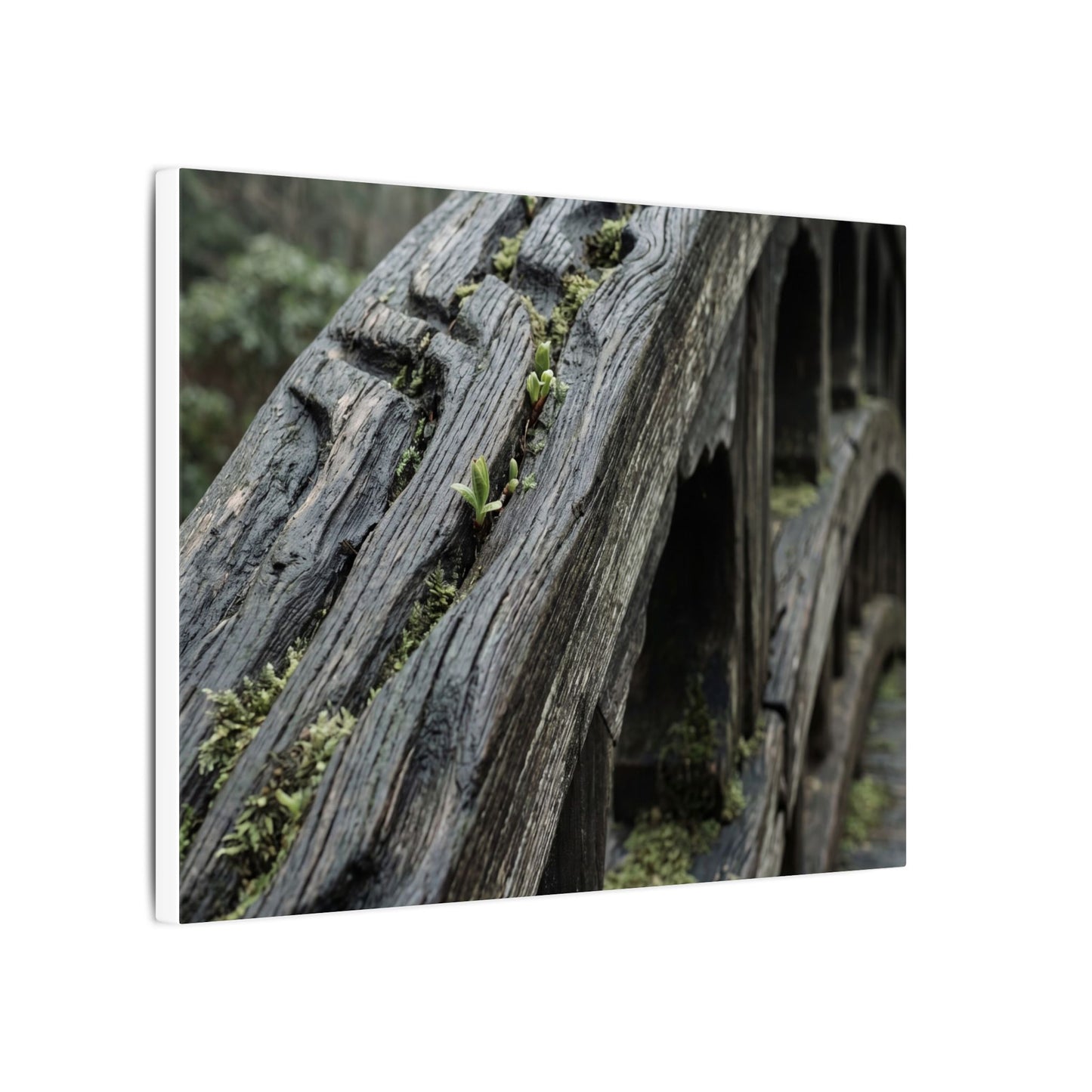Overcast Wooden Bridge Canvas Art - Japandi Kanso
