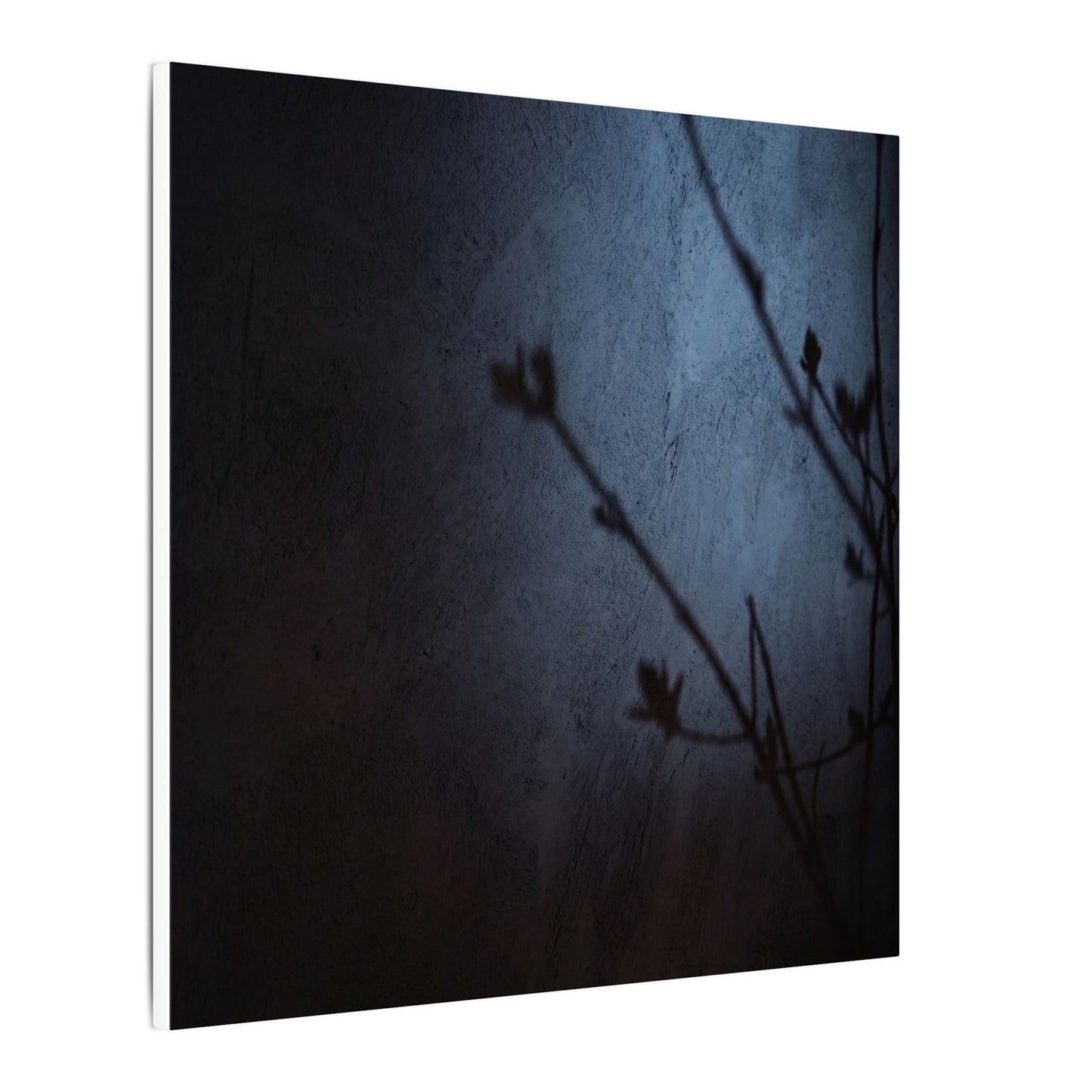 Shadow Play Canvas Art | Spring Dark Japandi Moody Minimal Art