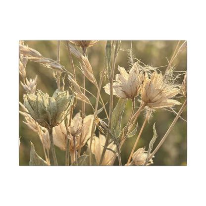 Summer Dried Flowers Minimal Line Canvas Art | Cozy Decor Art Print