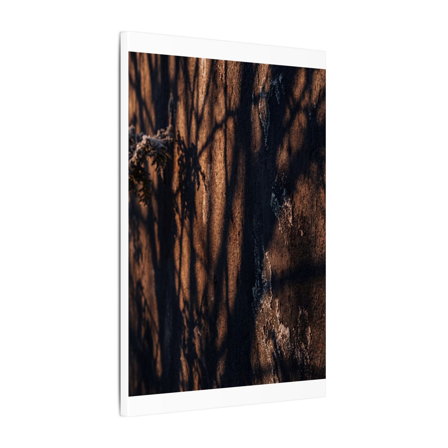 Golden Hour Shadow Play Canvas Art - Dark Japandi Fukinsei