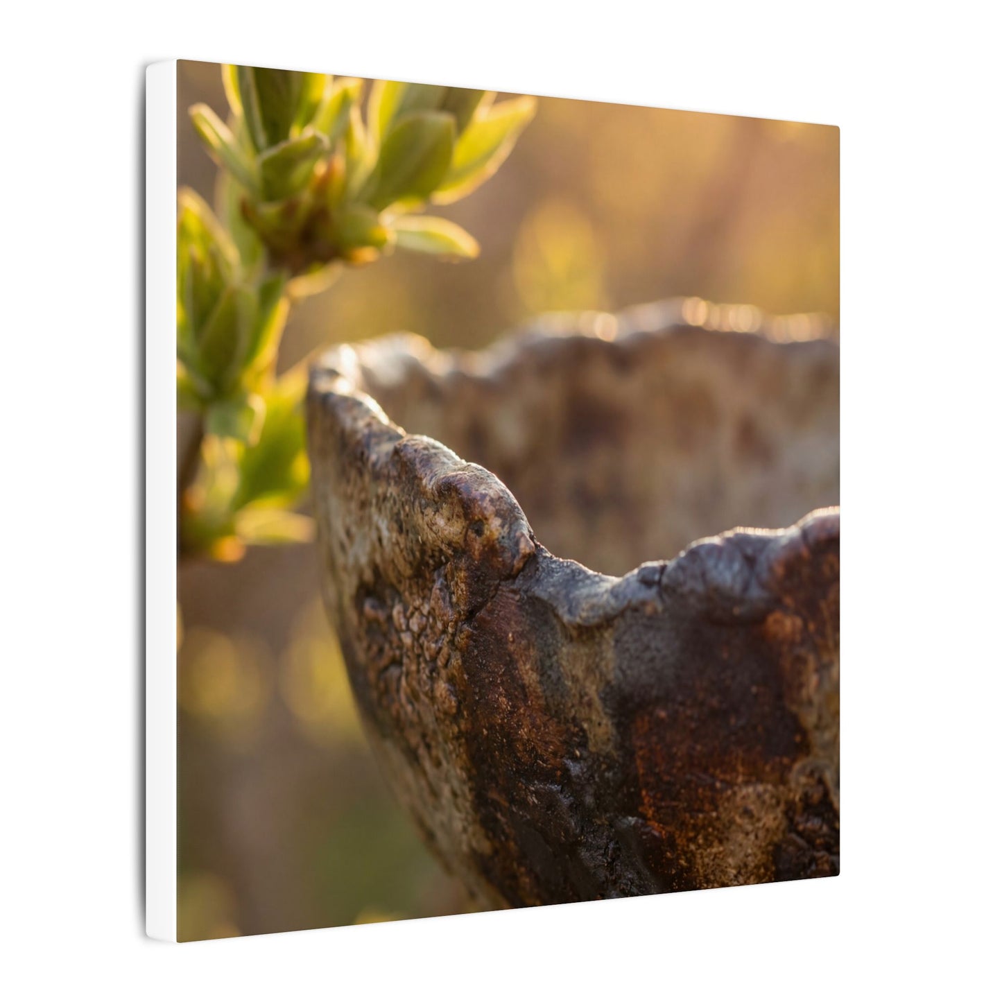 Golden Hour Ceramic Bowl Canvas Art - Dark Japandi Ma