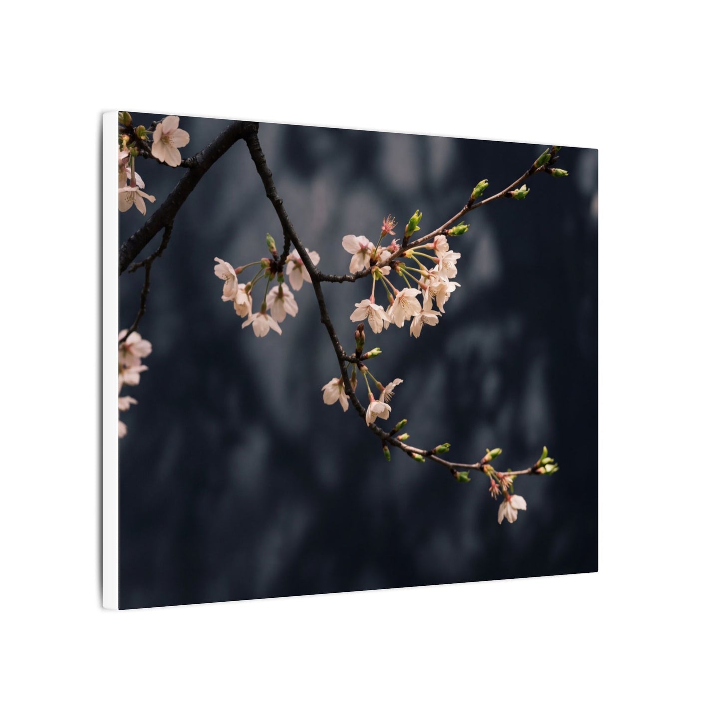 Cherry Blossom Moody Minimal Canvas Art | Bold Dark Japandi Art