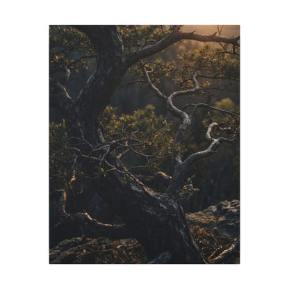 Moody Pine Tree Canvas Art - Moody Minimal Dark Japandi