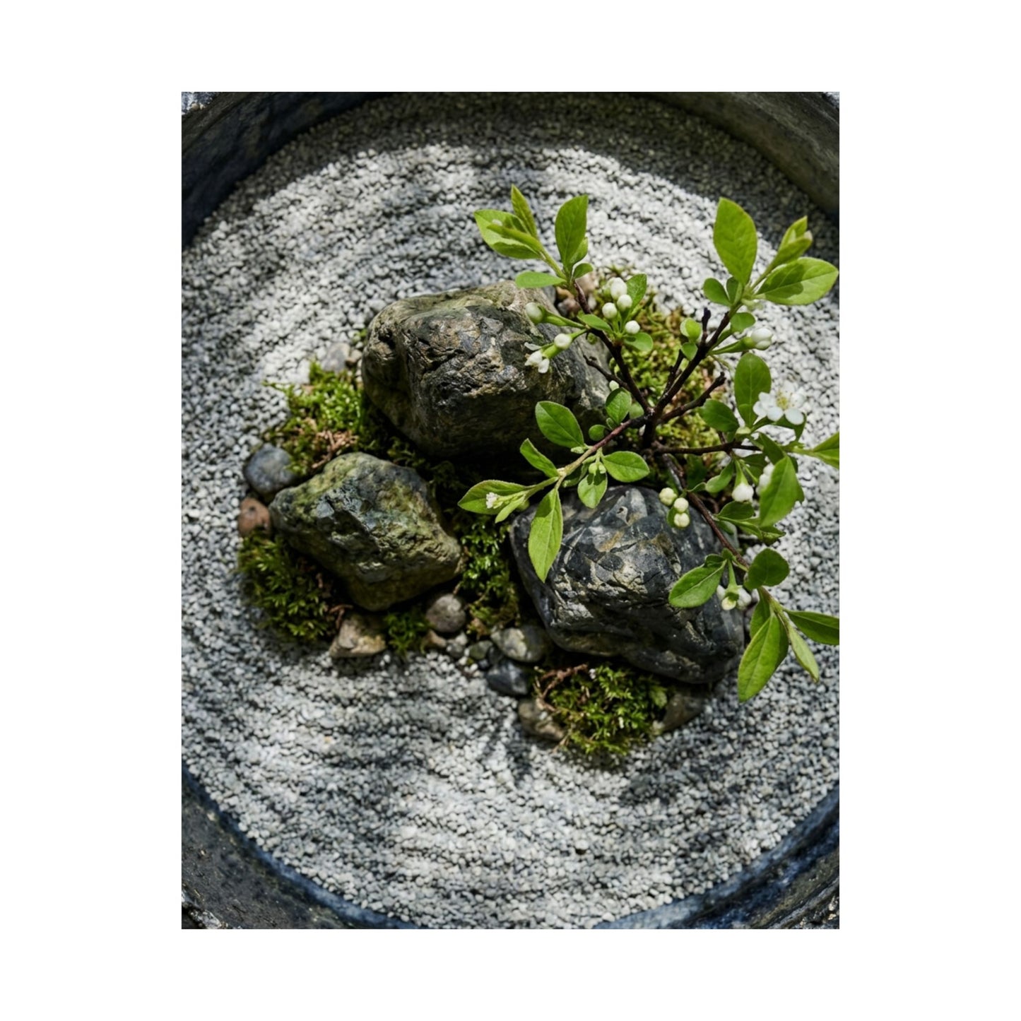 Ceramic Bowl Spring Wall Art Print | Zen Tranquil Design