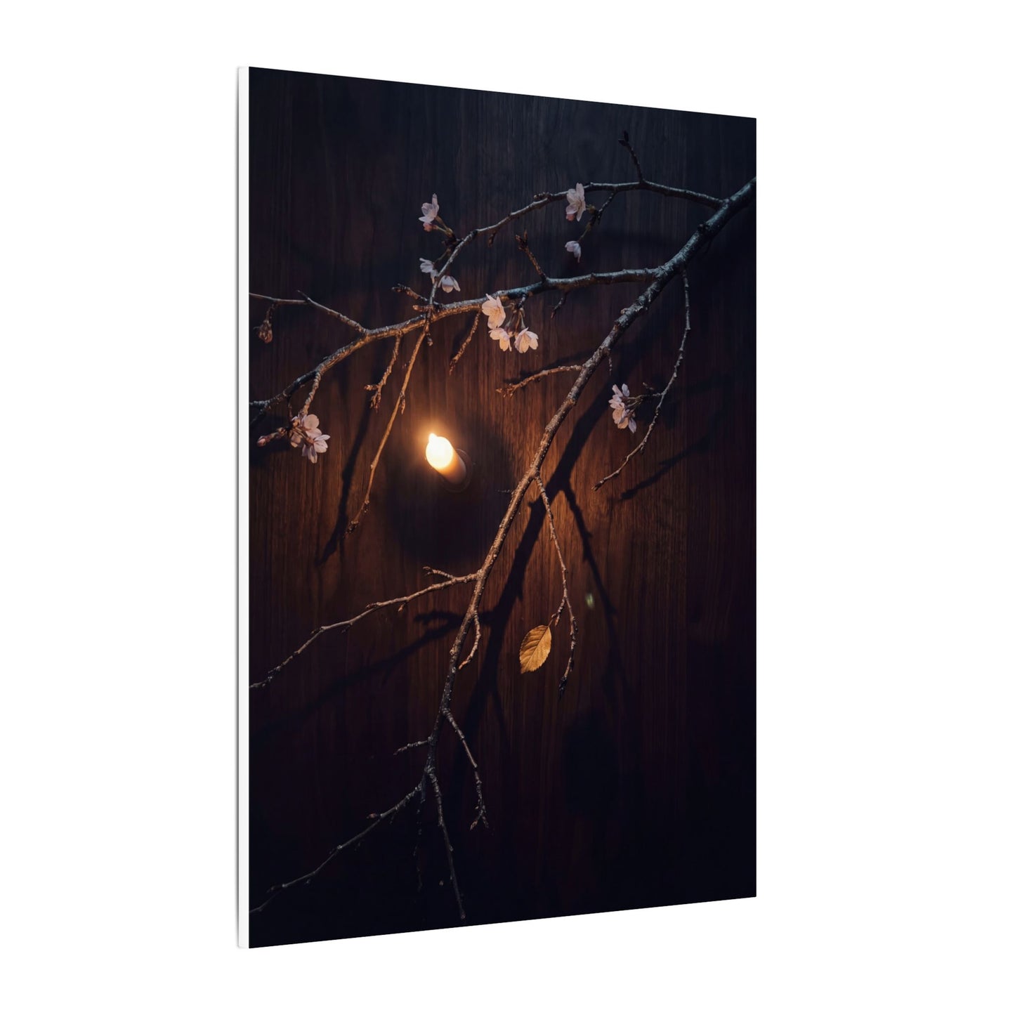 Datsuzoku Cherry Blossom Canvas Art - Dark Japandi Moody Minimal