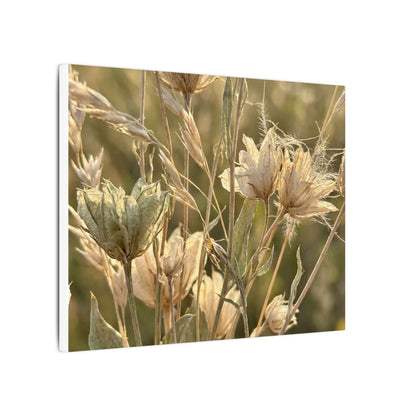 Summer Dried Flowers Minimal Line Canvas Art | Cozy Decor