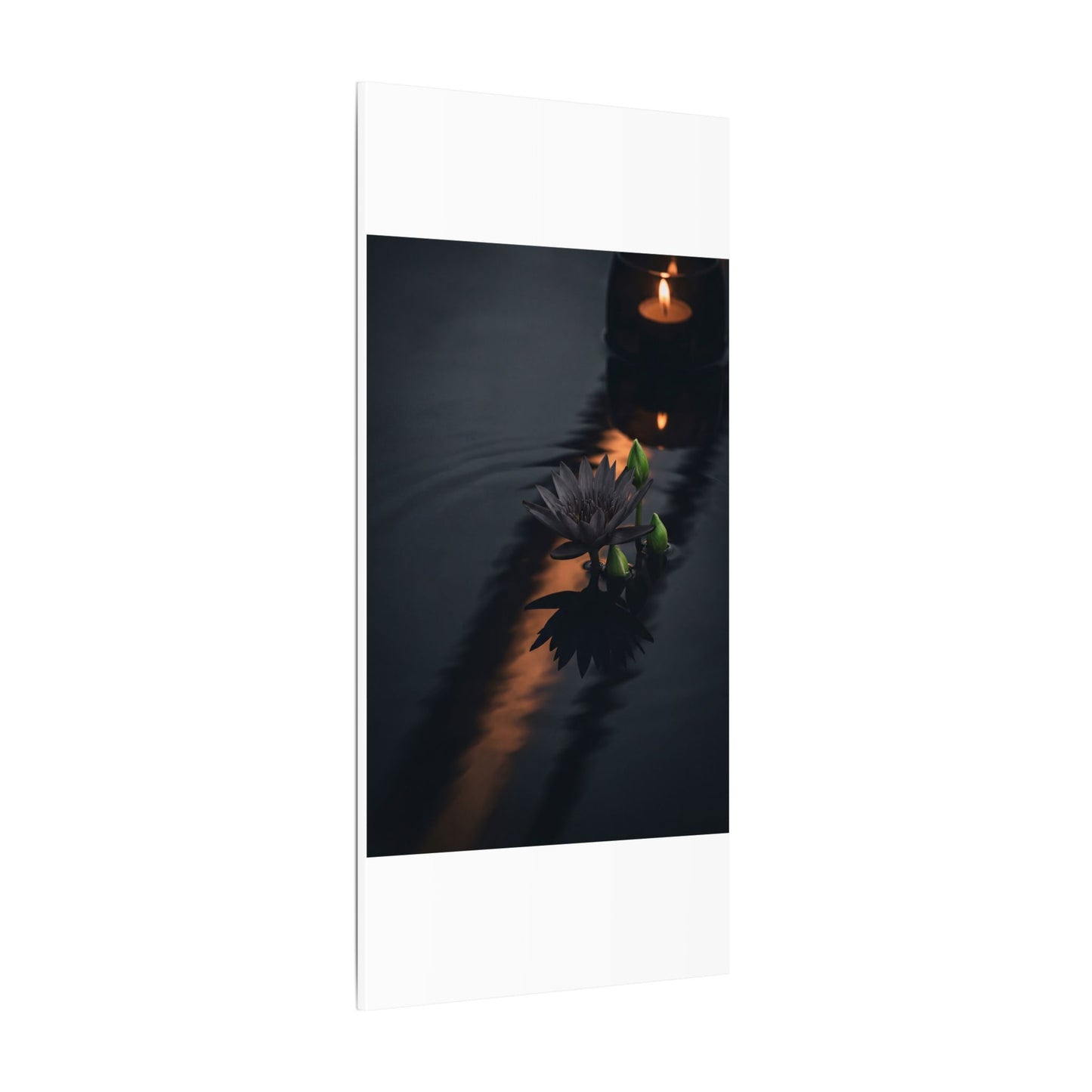 Seijaku Lotus Flower Canvas Art - Dark Japandi Shadow Zen
