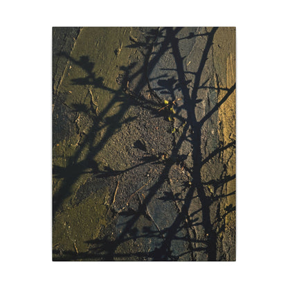 Kanso Shadow Play Canvas Art - Dark Japandi Dark Texture