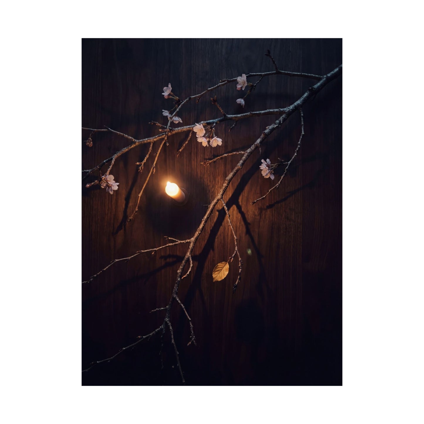 Sophisticated Cherry Blossom Wall Art Print - Moody Minimal Dark Japandi