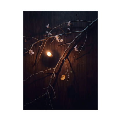 Sophisticated Cherry Blossom Wall Art Print - Moody Minimal Dark Japandi