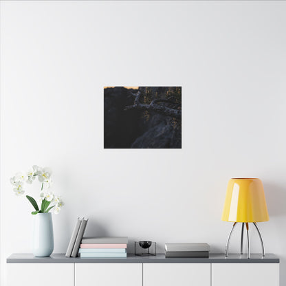 Pine Tree Moody Minimal Canvas Art | Sophisticated Dark Japandi Art