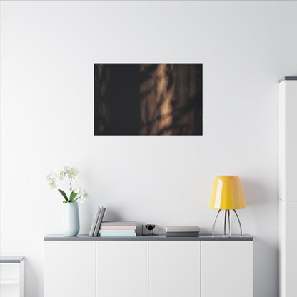 Winter Shadow Play Moody Minimal Canvas Art | Luxurious Decor