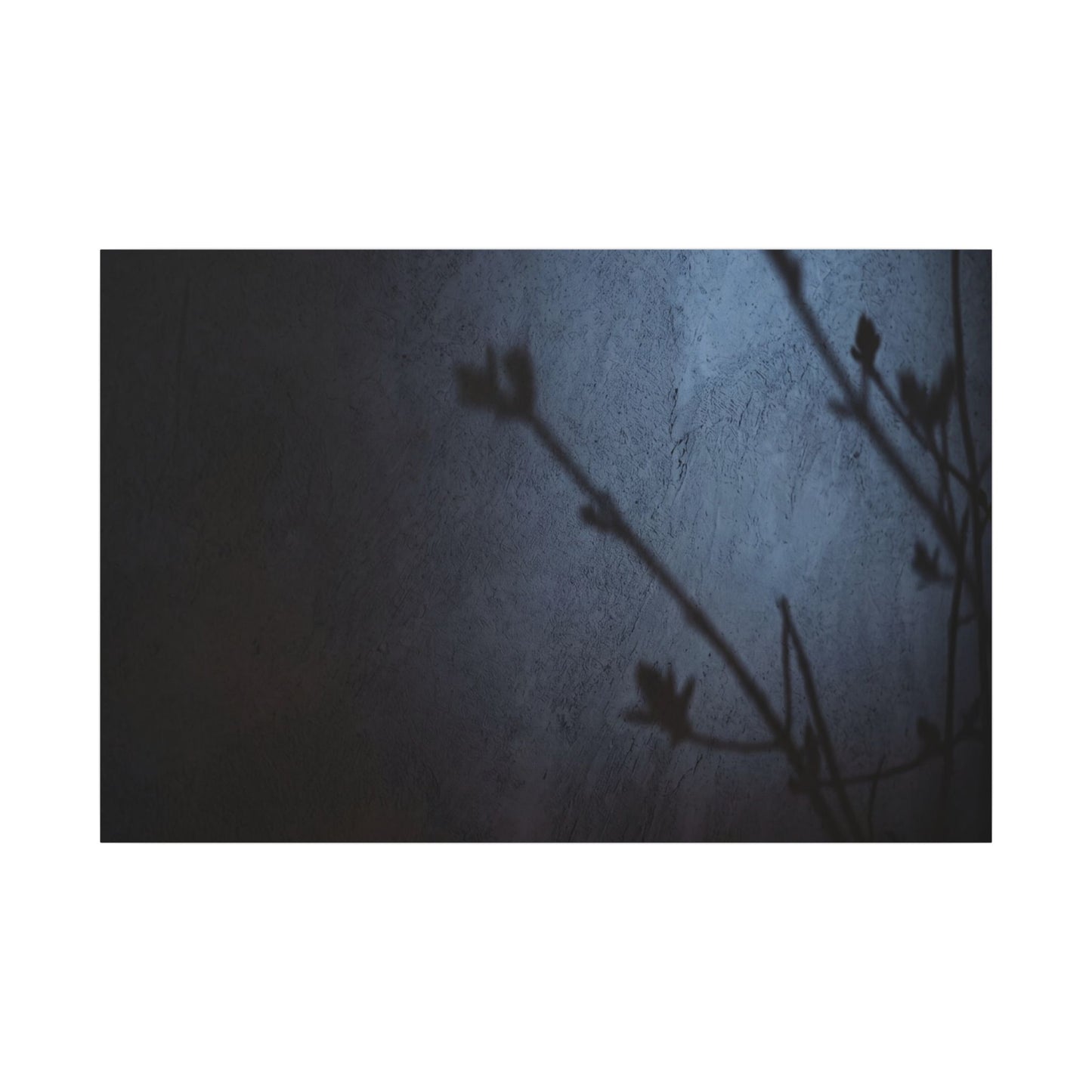 Shadow Play Canvas Art | Spring Dark Japandi Moody Minimal Art