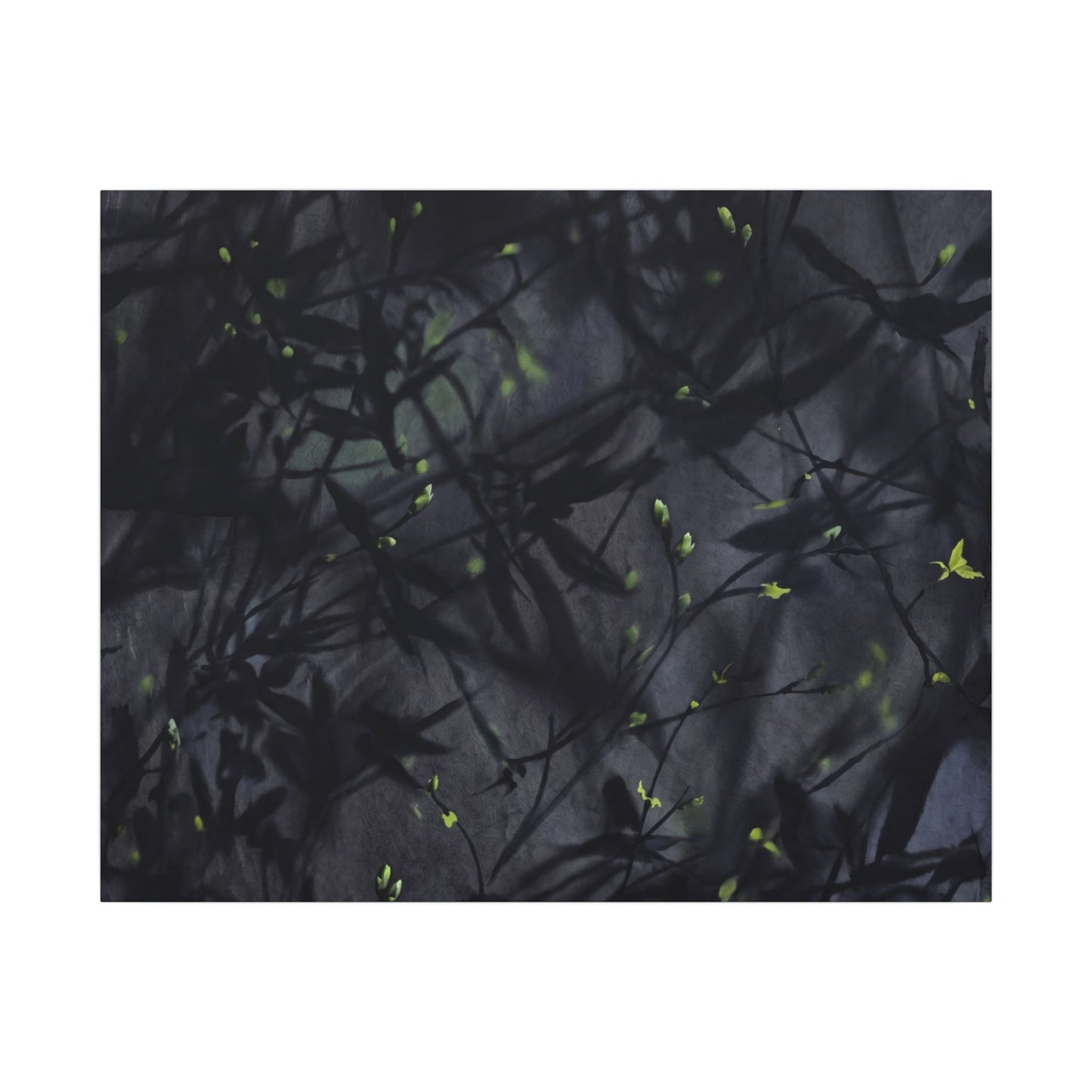 Shadow Play Spring Canvas Art | Dark Japandi Atmospheric Design
