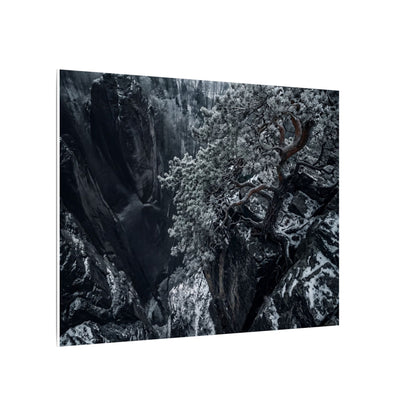 Dark Japandi Pine Tree in Dappled | Dark Texture Canvas Art