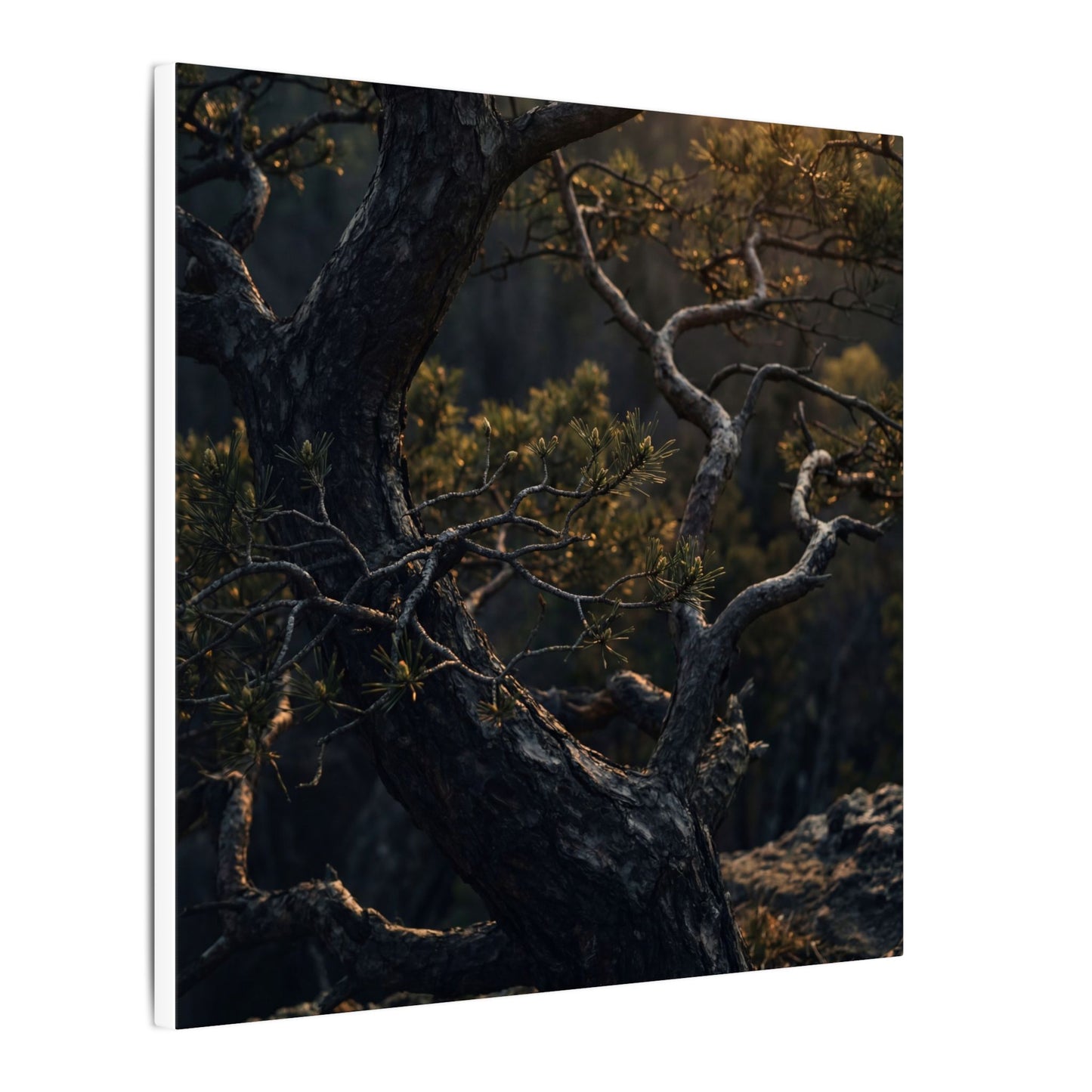 Moody Pine Tree Canvas Art - Moody Minimal Dark Japandi