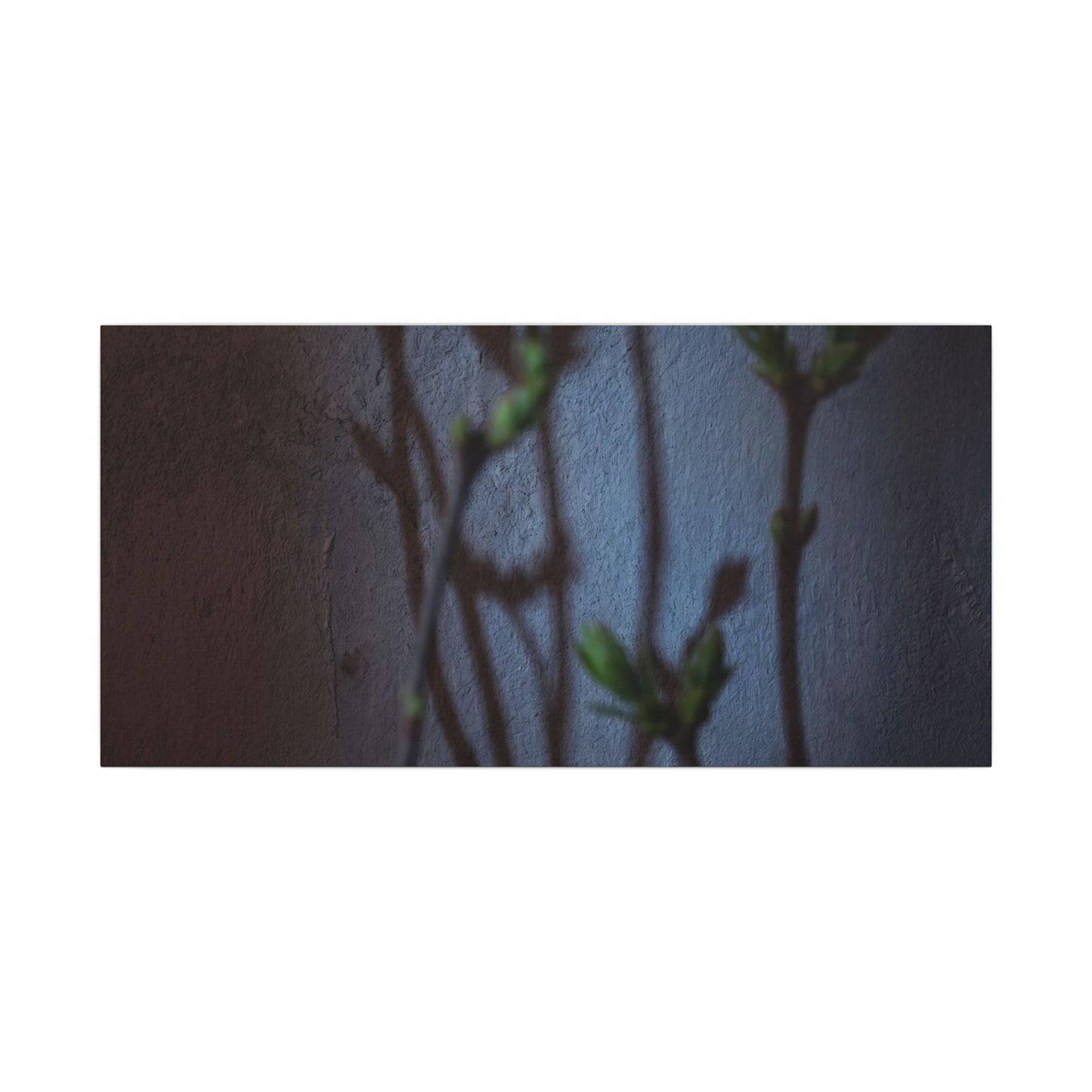 Shadow Play Spring Canvas Art | Dark Japandi Sophisticated Design