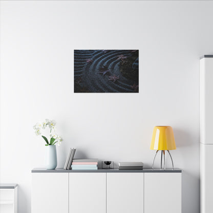 Rock Garden Canvas Art | Autumn Dark Japandi Dark Texture Art