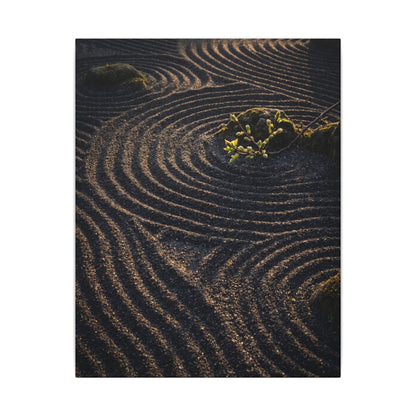 Spring Rock Garden Shadow Zen Canvas Art | Atmospheric Decor